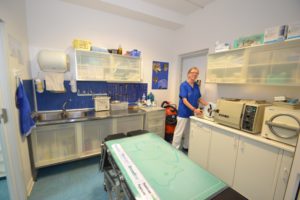 Preparazione chirurgica della Clinica Veterinaria Melosi - Cecina