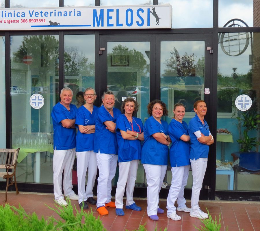 staff Clinica Veterinaria Melosi